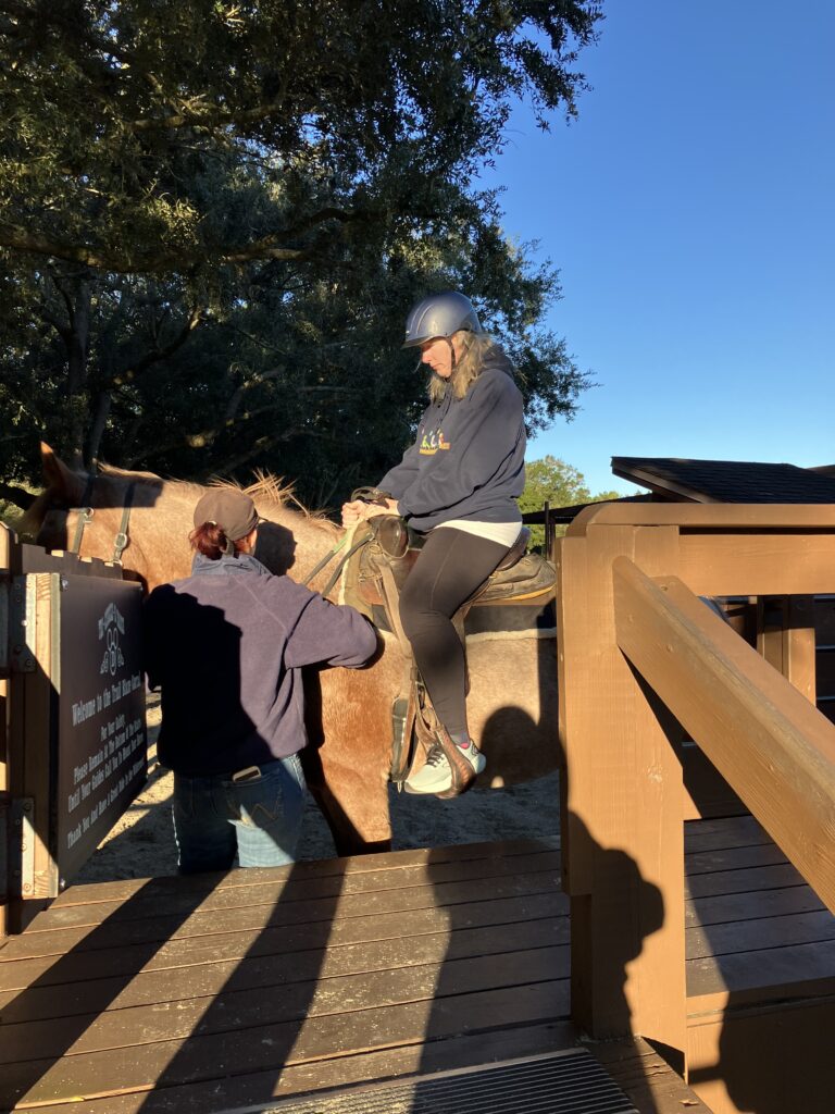 A woman is sitting on a horse preparing for a ride.